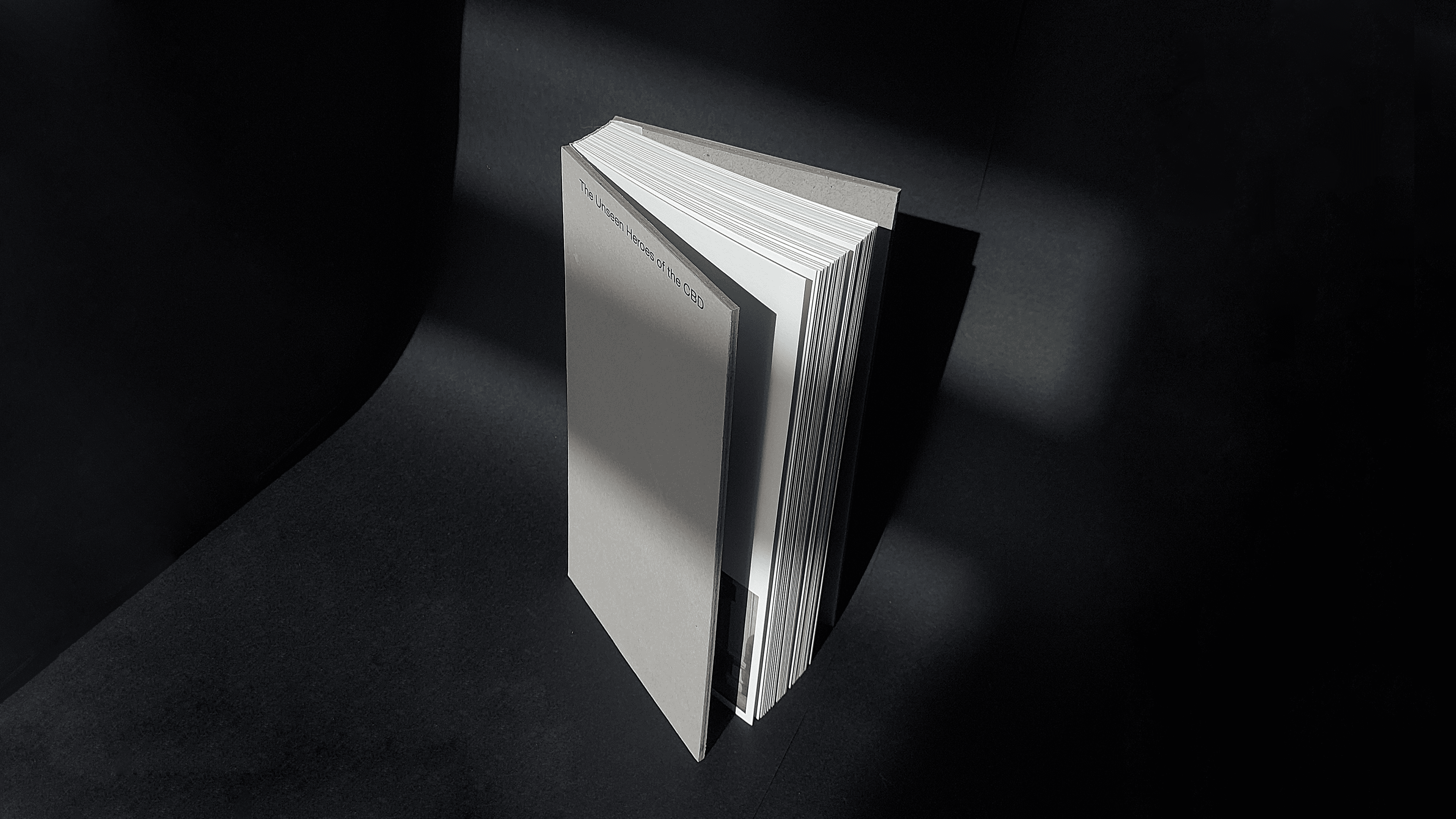 The Unseen Heroes of CBD by carennza book form preview